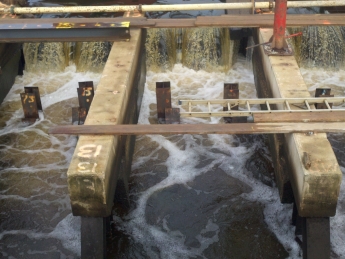 Walkers Full Slab Removed