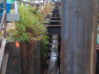 IMAG0036