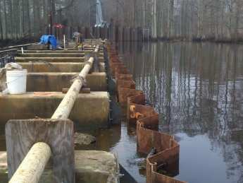 Walkers Concrete Poured Between New Sheet Pile And Existing Sheet Pile