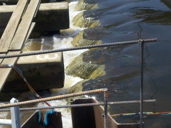 dam 4
